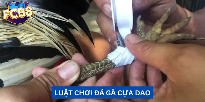 Hiểu rõ luật chơi và bảng thanh toán